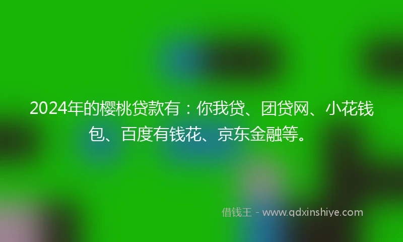 2024年的樱桃贷款有：你我贷、团贷网、小花钱包、百度有钱花、京东金融等。