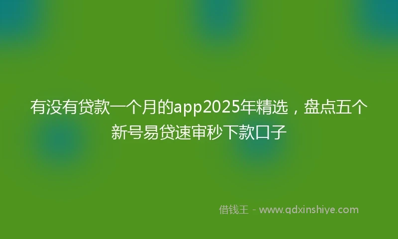 有没有贷款一个月的app2025年精选，盘点五个新号易贷速审秒下款口子