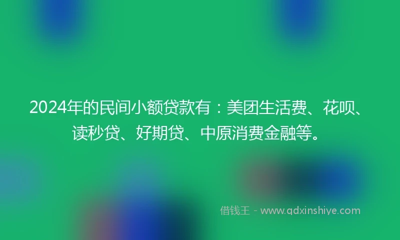 2024年的民间小额贷款有：美团生活费、花呗、读秒贷、好期贷、中原消费金融等。