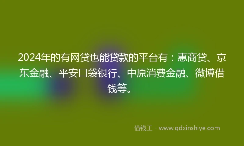 2024年的有网贷也能贷款的平台有：惠商贷、京东金融、平安口袋银行、中原消费金融、微博借钱等。
