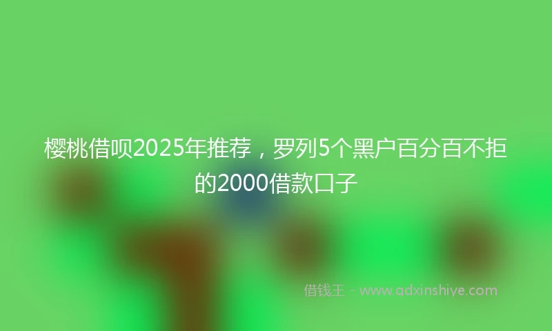 樱桃借呗2025年推荐，罗列5个黑户百分百不拒的2000借款口子