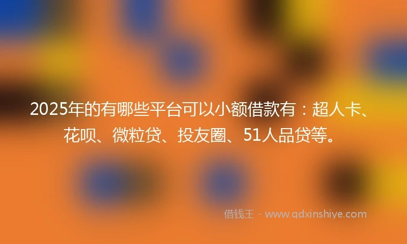 2025年的有哪些平台可以小额借款有：超人卡、花呗、微粒贷、投友圈、51人品贷等。