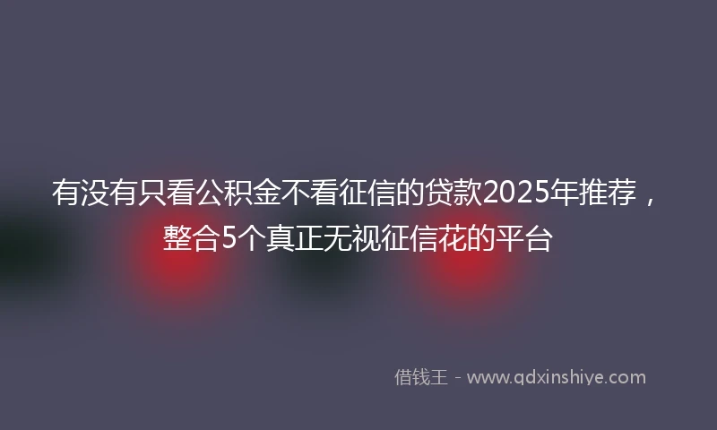 有没有只看公积金不看征信的贷款2025年推荐，整合5个真正无视征信花的平台
