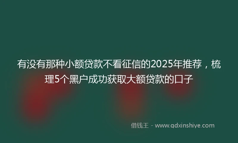有没有那种小额贷款不看征信的2025年推荐，梳理5个黑户成功获取大额贷款的口子