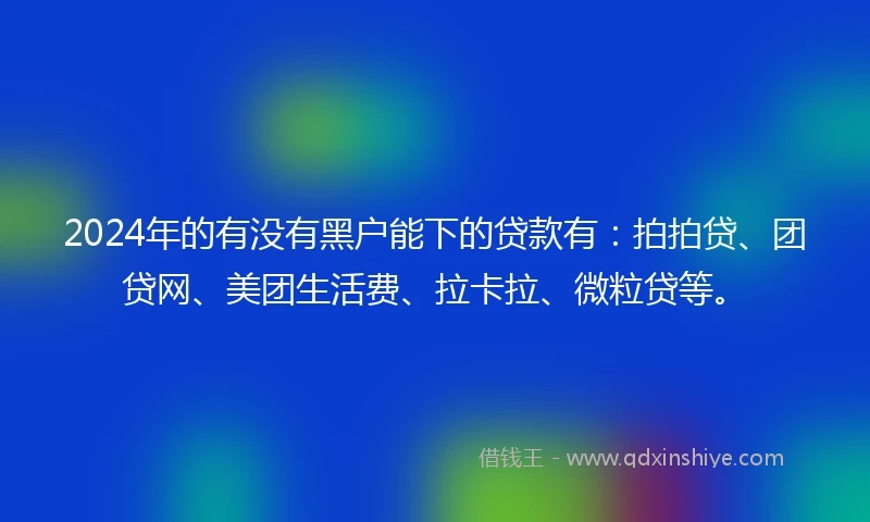 2024年的有没有黑户能下的贷款有：拍拍贷、团贷网、美团生活费、拉卡拉、微粒贷等。