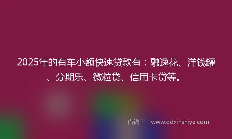 2025年的有车小额快速贷款有：融逸花、洋钱罐、分期乐、微粒贷、信用卡贷等。