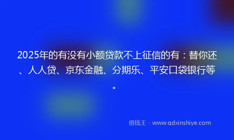 2025年的有没有小额贷款不上征信的有：替你还、人人贷、京东金融、分期乐、平安口袋银行等。