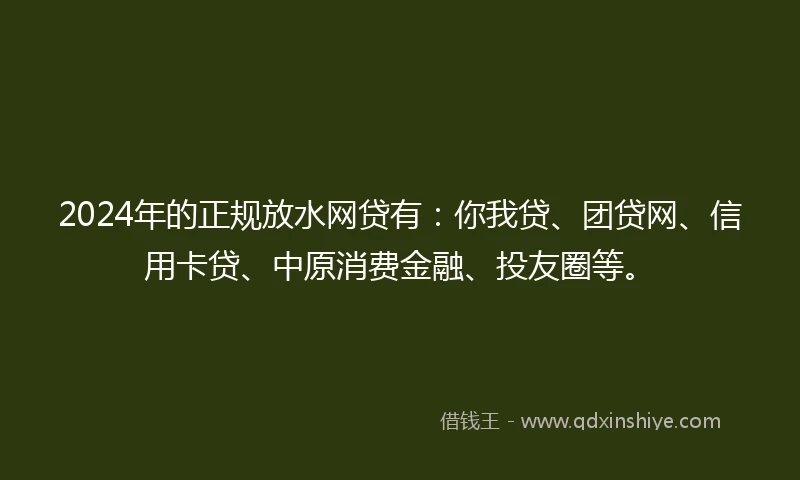 2024年的正规放水网贷有：你我贷、团贷网、信用卡贷、中原消费金融、投友圈等。