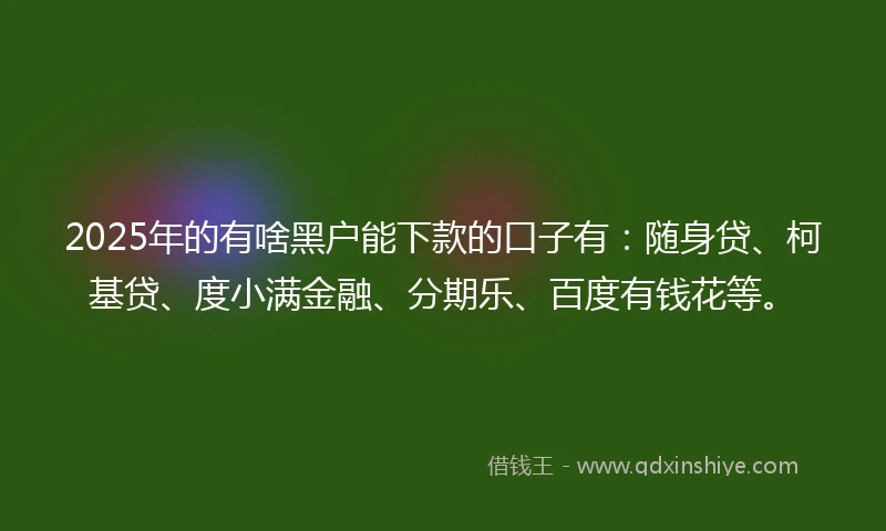 2025年的有啥黑户能下款的口子有：随身贷、柯基贷、度小满金融、分期乐、百度有钱花等。