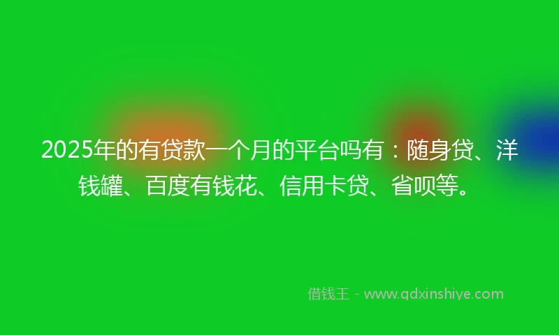 2025年的有贷款一个月的平台吗有：随身贷、洋钱罐、百度有钱花、信用卡贷、省呗等。