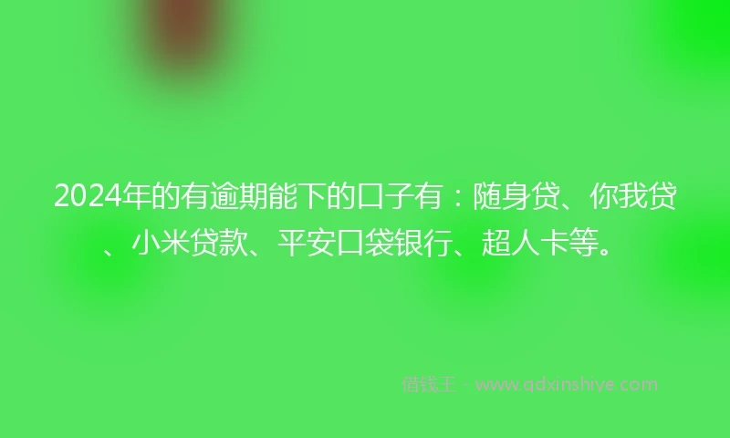 2024年的有逾期能下的口子有：随身贷、你我贷、小米贷款、平安口袋银行、超人卡等。
