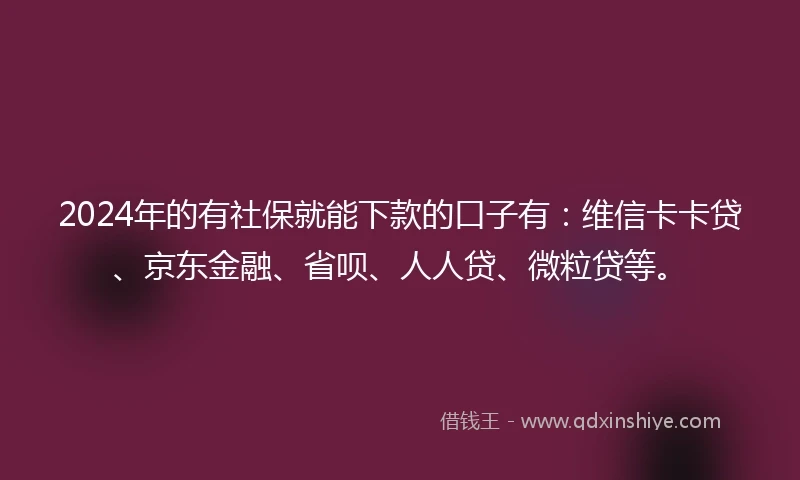 2024年的有社保就能下款的口子有：维信卡卡贷、京东金融、省呗、人人贷、微粒贷等。