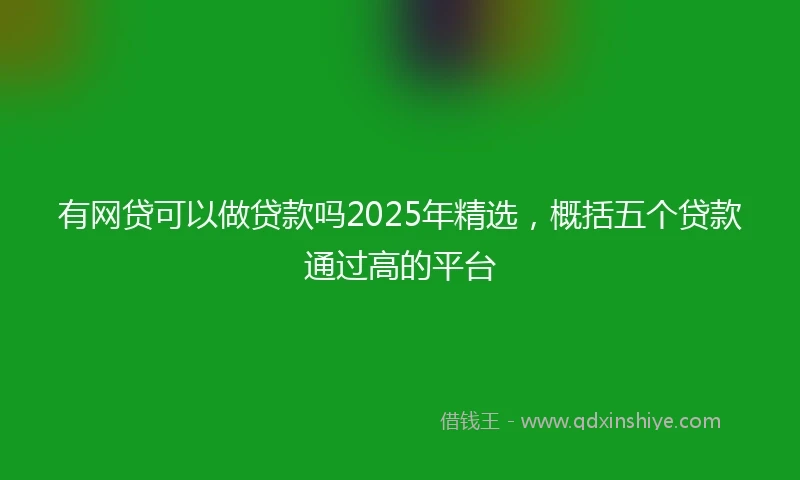 有网贷可以做贷款吗2025年精选，概括五个贷款通过高的平台