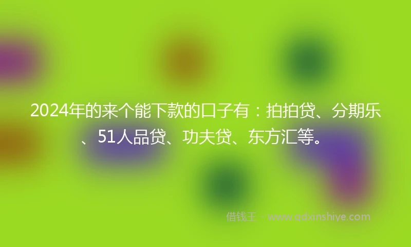 2024年的来个能下款的口子有：拍拍贷、分期乐、51人品贷、功夫贷、东方汇等。