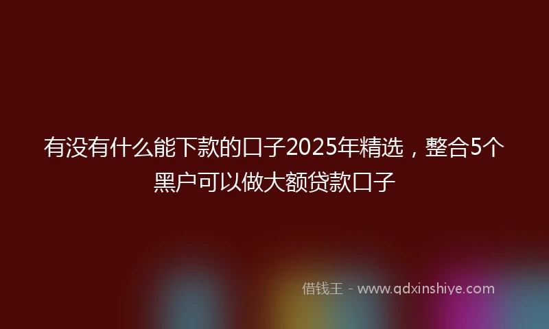 有没有什么能下款的口子2025年精选，整合5个黑户可以做大额贷款口子