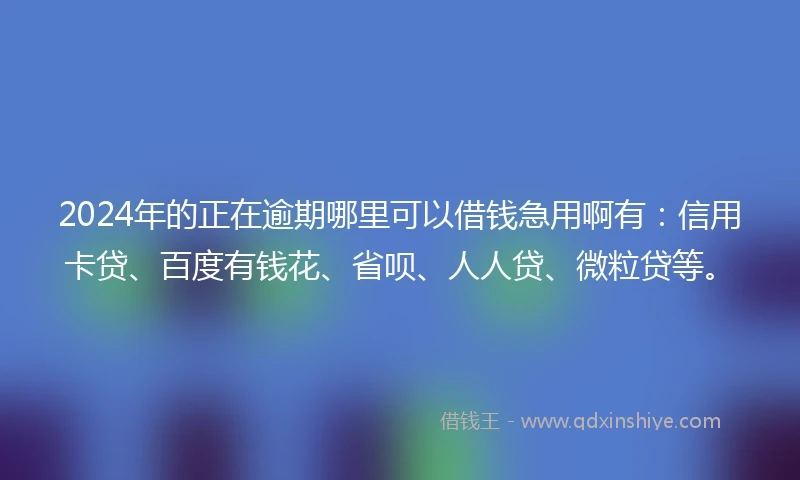2024年的正在逾期哪里可以借钱急用啊有：信用卡贷、百度有钱花、省呗、人人贷、微粒贷等。