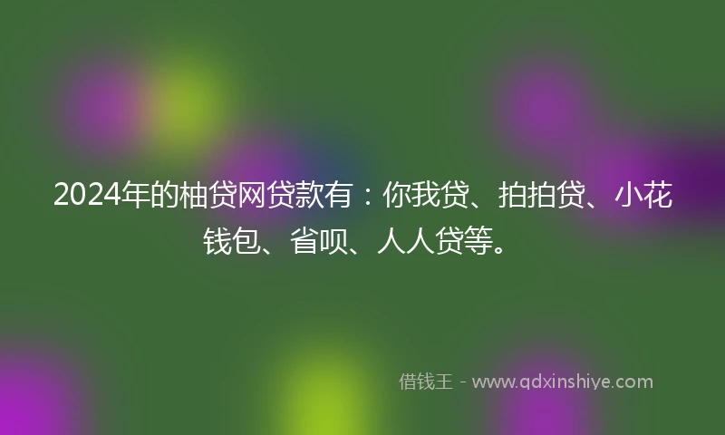 2024年的柚贷网贷款有：你我贷、拍拍贷、小花钱包、省呗、人人贷等。