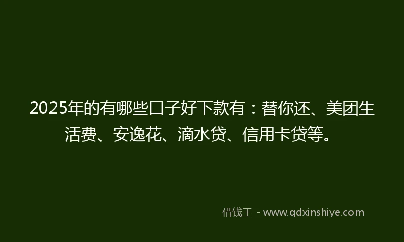 2025年的有哪些口子好下款有：替你还、美团生活费、安逸花、滴水贷、信用卡贷等。
