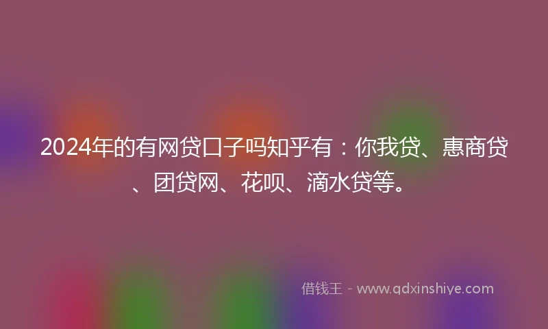 2024年的有网贷口子吗知乎有：你我贷、惠商贷、团贷网、花呗、滴水贷等。