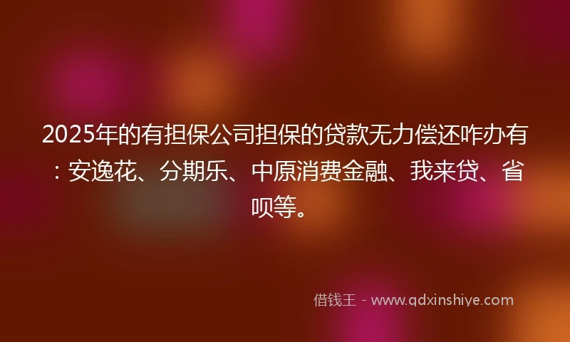 2025年的有担保公司担保的贷款无力偿还咋办有：安逸花、分期乐、中原消费金融、我来贷、省呗等。