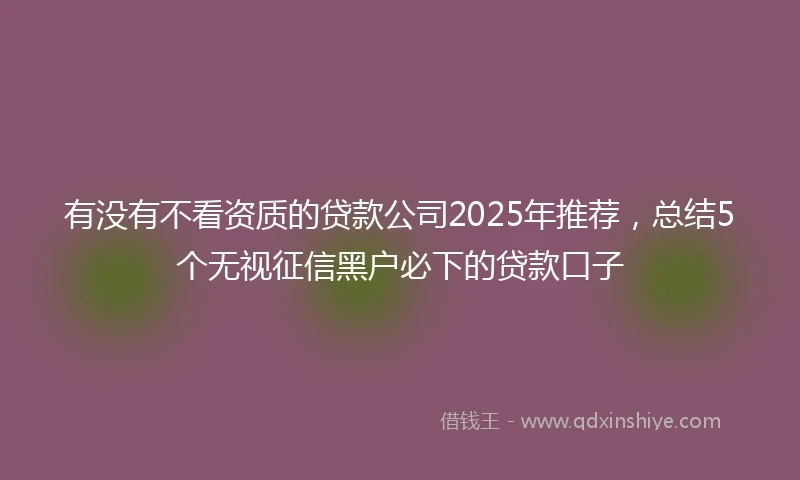 有没有不看资质的贷款公司2025年推荐，总结5个无视征信黑户必下的贷款口子