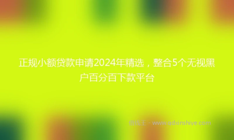 正规小额贷款申请2024年精选，整合5个无视黑户百分百下款平台