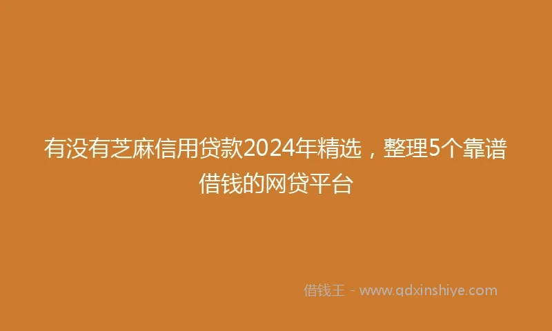 有没有芝麻信用贷款2024年精选，整理5个靠谱借钱的网贷平台