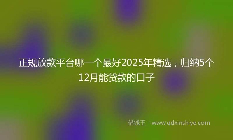 正规放款平台哪一个最好2025年精选，归纳5个12月能贷款的口子