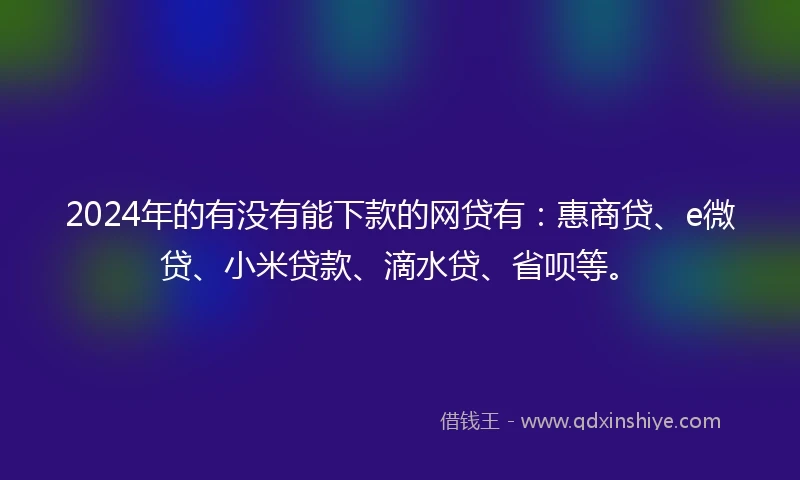 2024年的有没有能下款的网贷有：惠商贷、e微贷、小米贷款、滴水贷、省呗等。