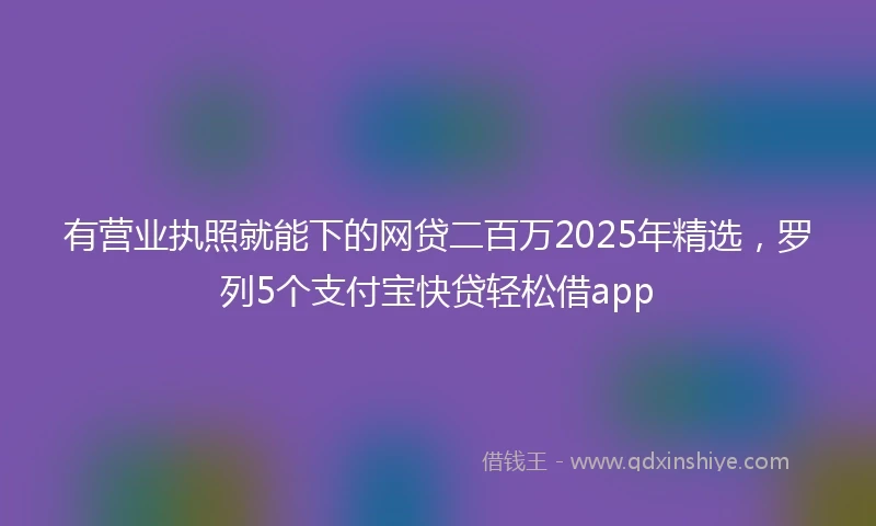 有营业执照就能下的网贷二百万2025年精选，罗列5个支付宝快贷轻松借app