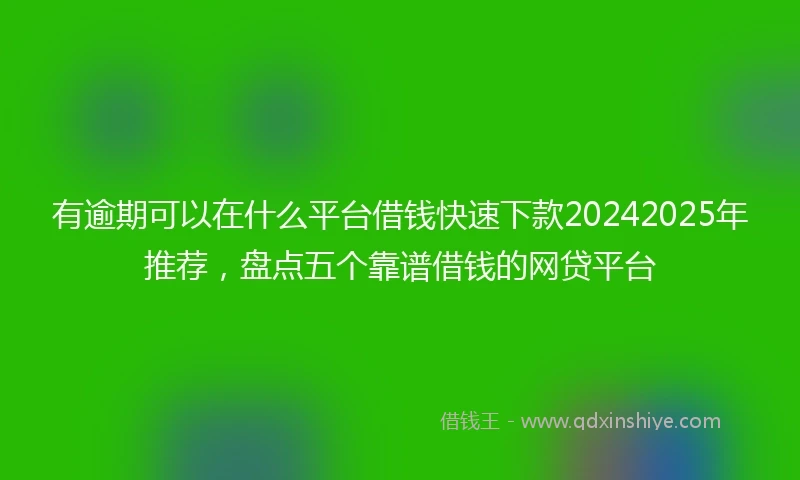 有逾期可以在什么平台借钱快速下款20242025年推荐，盘点五个靠谱借钱的网贷平台