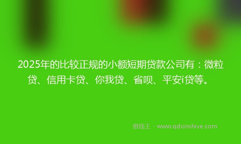 2025年的比较正规的小额短期贷款公司有：微粒贷、信用卡贷、你我贷、省呗、平安i贷等。