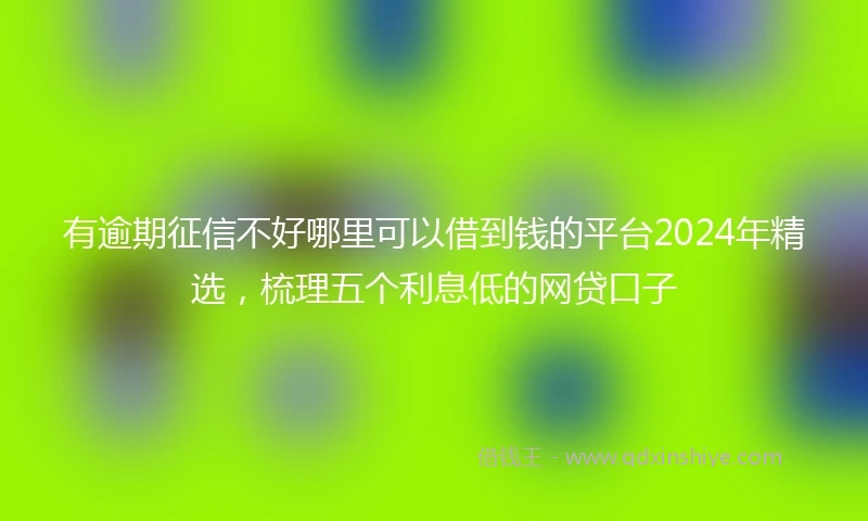 有逾期征信不好哪里可以借到钱的平台2024年精选，梳理五个利息低的网贷口子