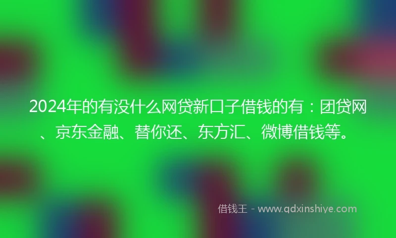 2024年的有没什么网贷新口子借钱的有：团贷网、京东金融、替你还、东方汇、微博借钱等。