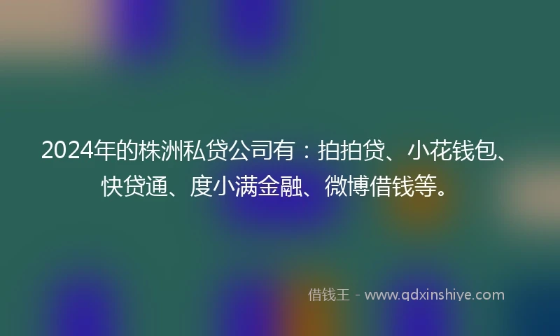 2024年的株洲私贷公司有：拍拍贷、小花钱包、快贷通、度小满金融、微博借钱等。