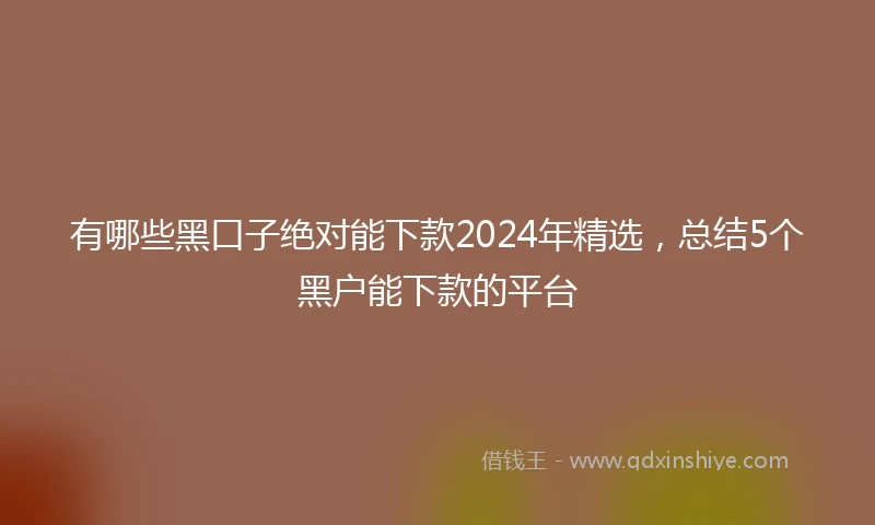 有哪些黑口子绝对能下款2024年精选，总结5个黑户能下款的平台