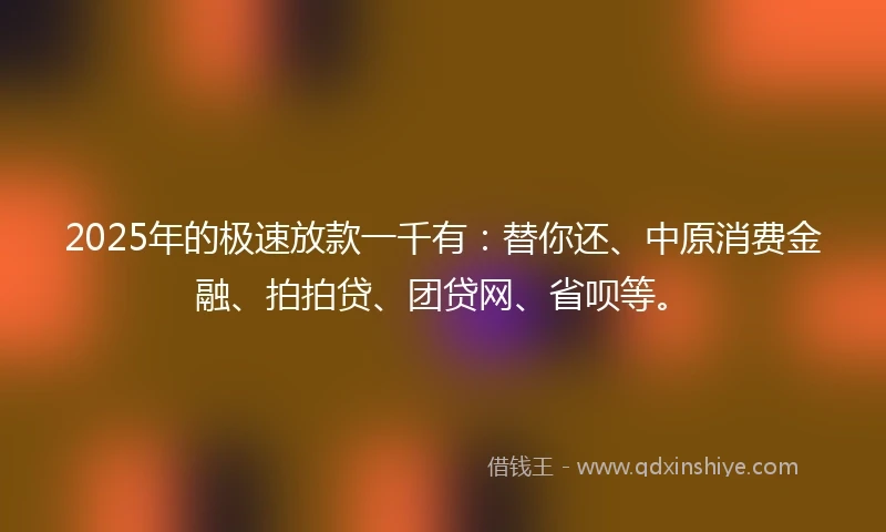 2025年的极速放款一千有：替你还、中原消费金融、拍拍贷、团贷网、省呗等。