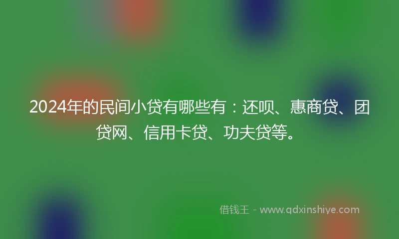 2024年的民间小贷有哪些有：还呗、惠商贷、团贷网、信用卡贷、功夫贷等。