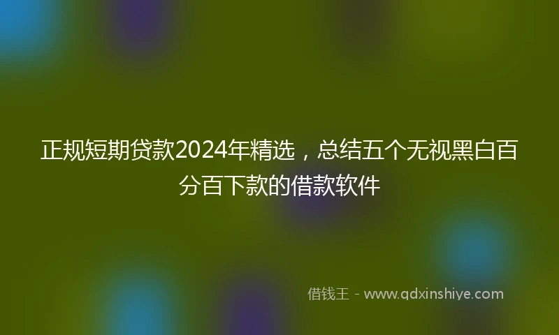正规短期贷款2024年精选，总结五个无视黑白百分百下款的借款软件