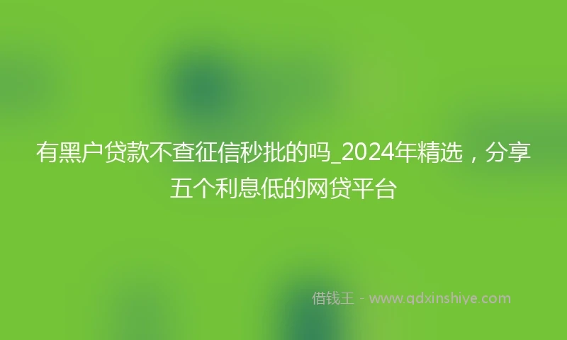 有黑户贷款不查征信秒批的吗_2024年精选，分享五个利息低的网贷平台