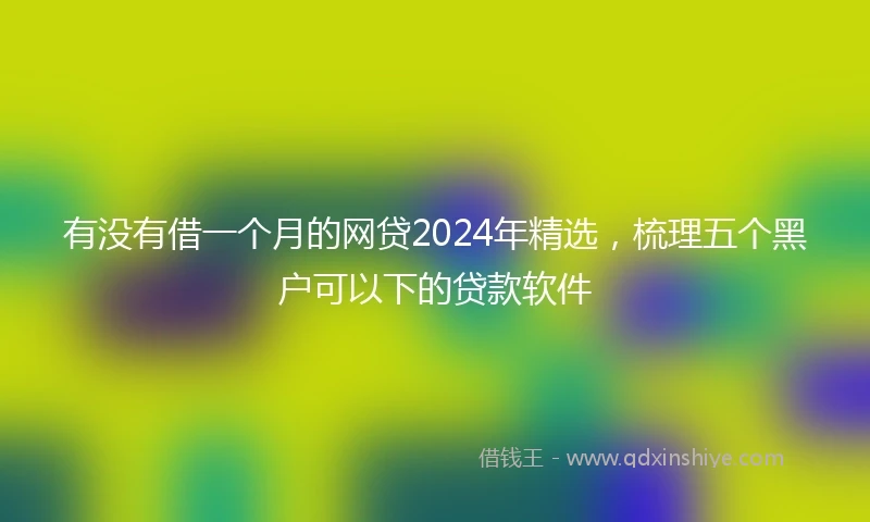 有没有借一个月的网贷2024年精选，梳理五个黑户可以下的贷款软件