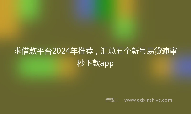 求借款平台2024年推荐，汇总五个新号易贷速审秒下款app