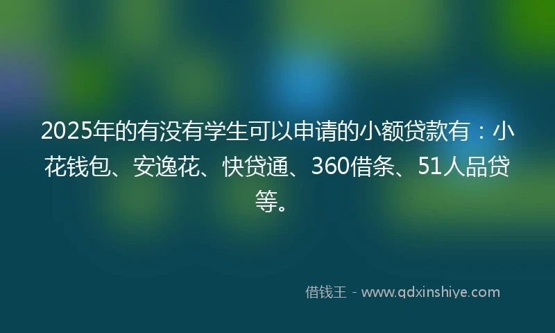 2025年的有没有学生可以申请的小额贷款有：小花钱包、安逸花、快贷通、360借条、51人品贷等。