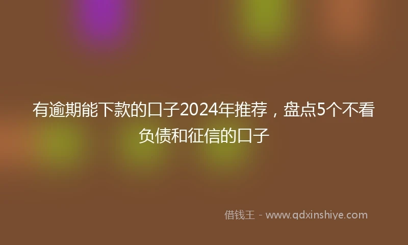 有逾期能下款的口子2024年推荐，盘点5个不看负债和征信的口子