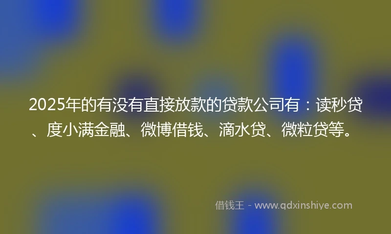 2025年的有没有直接放款的贷款公司有：读秒贷、度小满金融、微博借钱、滴水贷、微粒贷等。