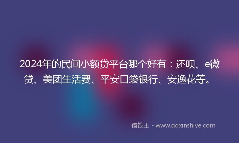 2024年的民间小额贷平台哪个好有：还呗、e微贷、美团生活费、平安口袋银行、安逸花等。