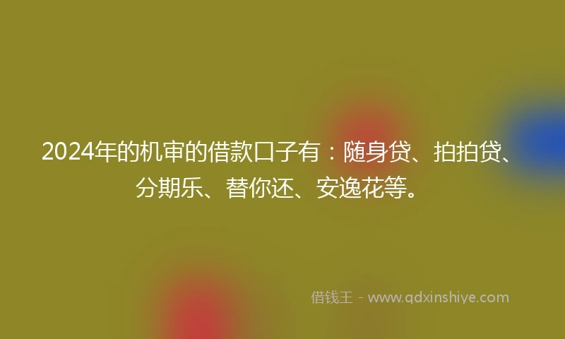 2024年的机审的借款口子有：随身贷、拍拍贷、分期乐、替你还、安逸花等。