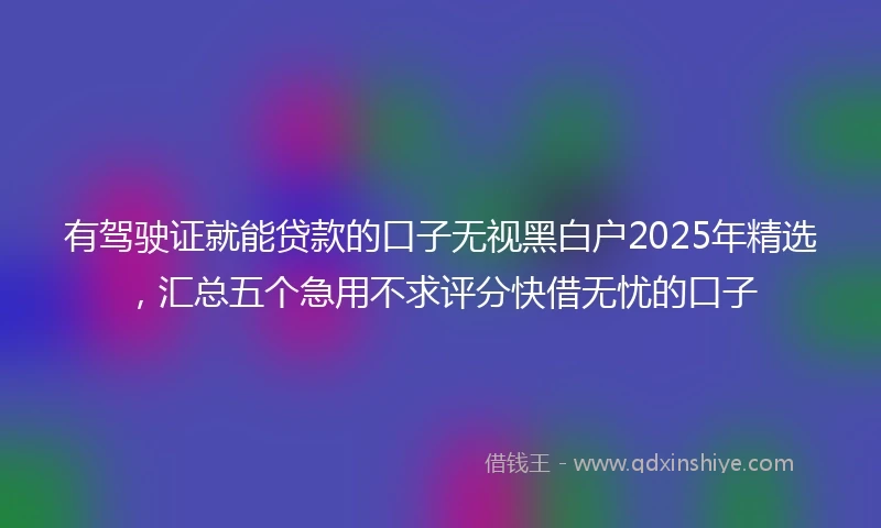 有驾驶证就能贷款的口子无视黑白户2025年精选，汇总五个急用不求评分快借无忧的口子