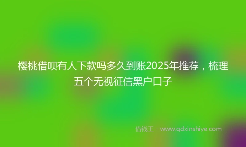 樱桃借呗有人下款吗多久到账2025年推荐，梳理五个无视征信黑户口子