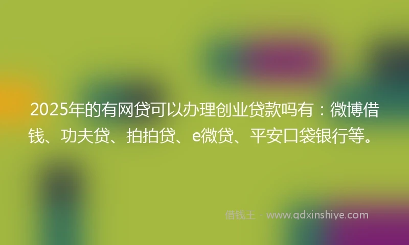2025年的有网贷可以办理创业贷款吗有：微博借钱、功夫贷、拍拍贷、e微贷、平安口袋银行等。